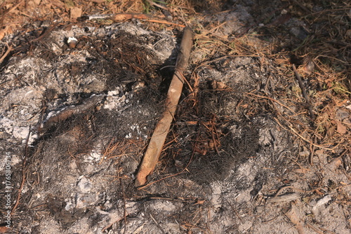 Ashes from burning dry leaves collected together