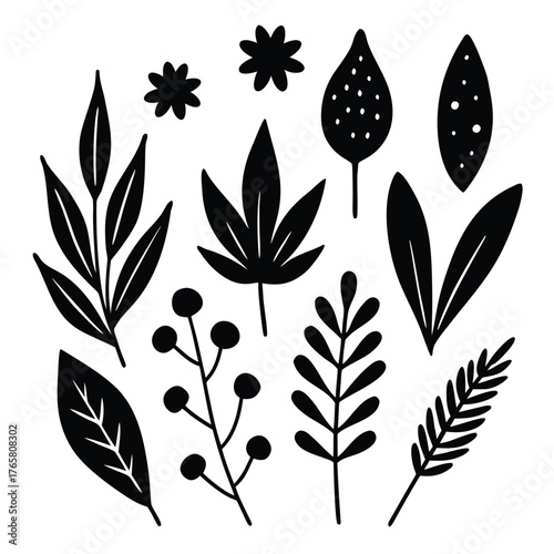 Black and white botanical illustration of various leaves and flowers art