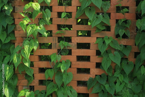 brick walls arranged sparsely to allow air ventilation, with climbing plants growing on them, creating a green and red contrast.