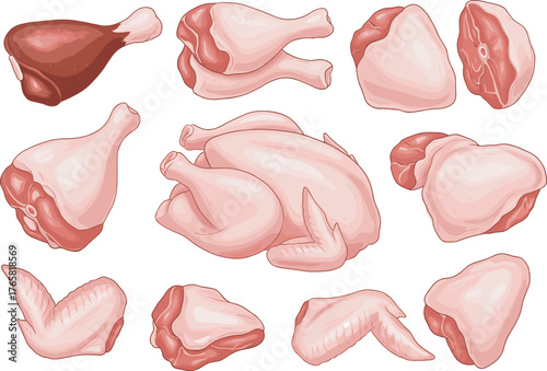 Raw chicken and meat cuts, culinary preparation, whole poultry, steak pieces, food texture, cooking ingredient, butcher chart, kitchen protein, vector illustration