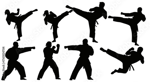 Martial Arts Silhouettes – Karate and Taekwondo Poses in Black on White