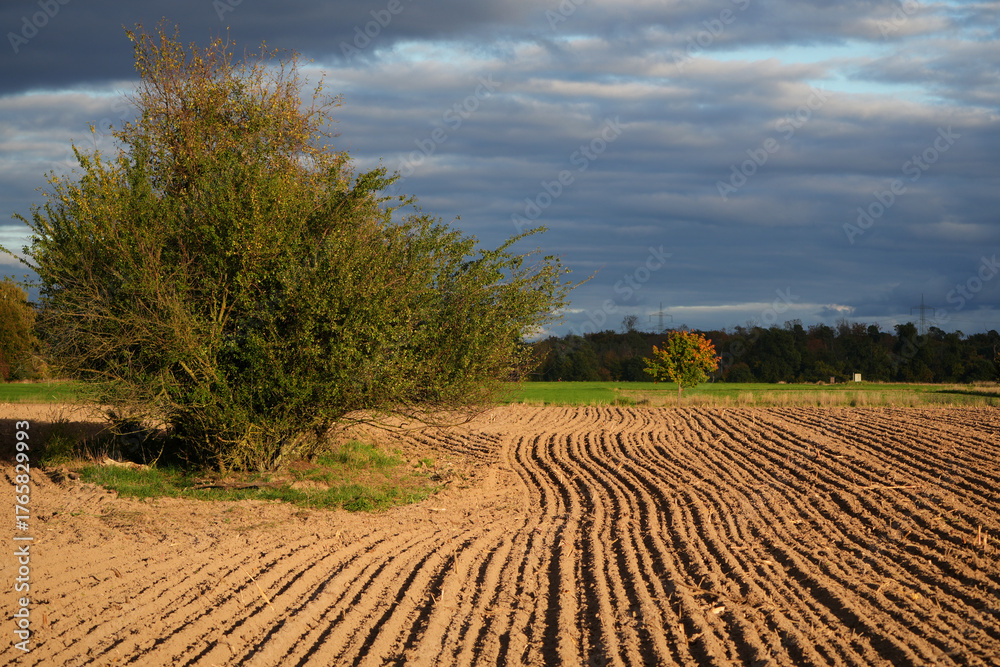 Fototapeta premium a freshly ploughed field with wavy furrows in autumn with dark clouds on the sky