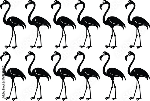 Row of black flamingo silhouettes flamingos bird