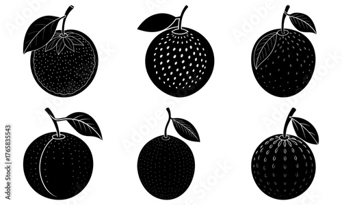 Whimsical orange collection, perfect for bright designs and healthy lifestyle themes, originally a scalable graphic for vibrant food illustrations or logos