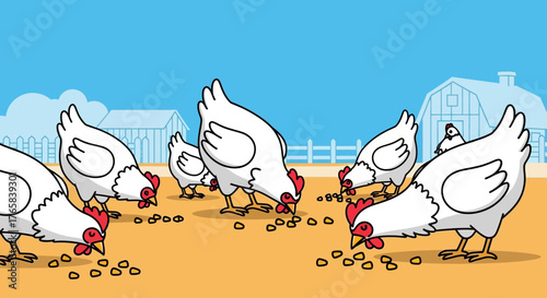 Flock of white chickens pecking for seeds on a farm with barns in the background