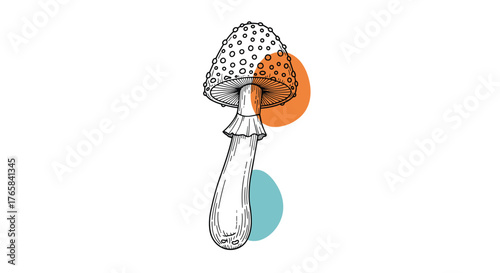 Detailed illustration of a mushroom with a spotted cap and stem.