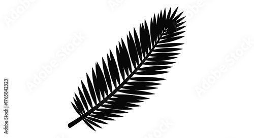 Elegant Black Silhouette of a Tropical Palm Leaf for Summer Design Elements.