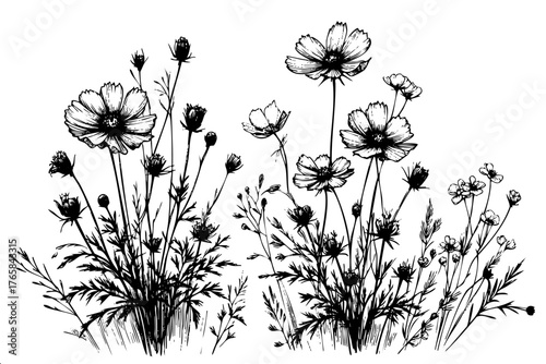 Black and white drawing of a field of flowers. The flowers are in various sizes and are scattered throughout the drawing. Scene is peaceful and serene, as the flowers are depicted as a natural
