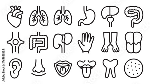 Human anatomy icon set with heart, lungs, brain, stomach, intestines, and organs in black and white medical vector style