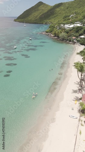 Vues drone D-Log M de la plage de Grande Anse en Martinique : sable blond, palmiers, mer turquoise, nature tropicale. Idéal pour projets voyage, nature, tourisme et îles paradisiaques.
