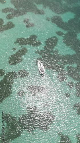 Vues drone D-Log M de la plage de Grande Anse en Martinique : sable blond, palmiers, mer turquoise, nature tropicale. Idéal pour projets voyage, nature, tourisme et îles paradisiaques.
