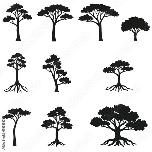 Silhouettes of different trees showcasing their unique shapes and characteristics in nature