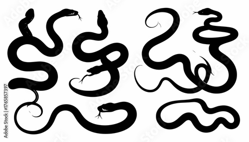 Silhouettes of snakes in various poses, curled and coiled against a white background