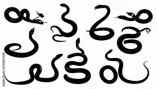 A collection of black and white illustrations featuring various snake silhouettes