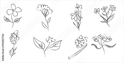 Hand-drawn Flower Sketch Collection. Vector set of organic floral doodles with a charcoal texture.