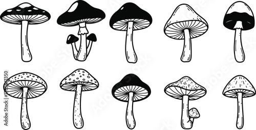 Ten hand drawn black and white mushroom illustrations with varied caps and stems fungi drawing