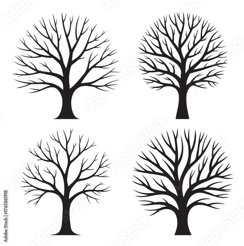 Set of bare trees silhouettes vector illustration of deciduous trees without leaves isolated on white backgr