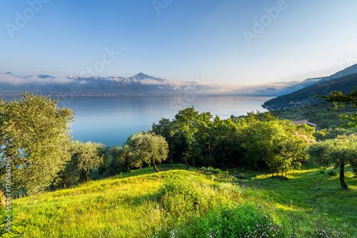 Olivenhaine, Bergwiesen und Dörfer an den Hängen des Monte Baldo und dem nördlichen Gardasee in der Morgensonne, Veneto, Trentino, Italien