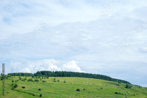 green field and trees against the sky