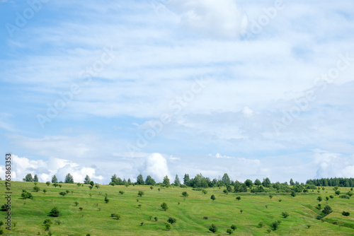 green field and trees against the sky
