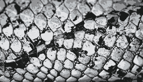Monochromatic close-up of reptile skin featuring textured scales, shades of gray