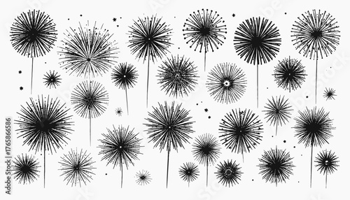 Black and white illustration featuring dandelion-like flowers of various sizes and stars on white background