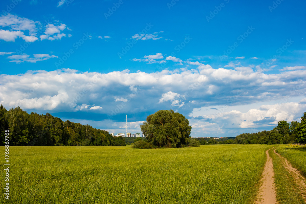 Obraz premium Expansive green meadow under a bright blue sky with fluffy clouds. A solitary tree stands grandly, while a winding dirt path beckons. Distant urban skyline peeks through the trees