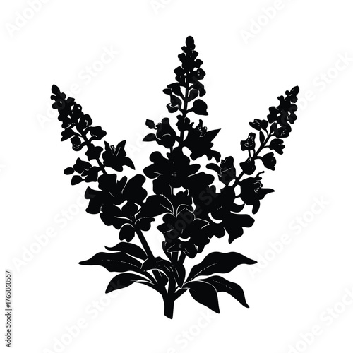 Black silhouette of a tall flowering plant with multiple stems and leaves