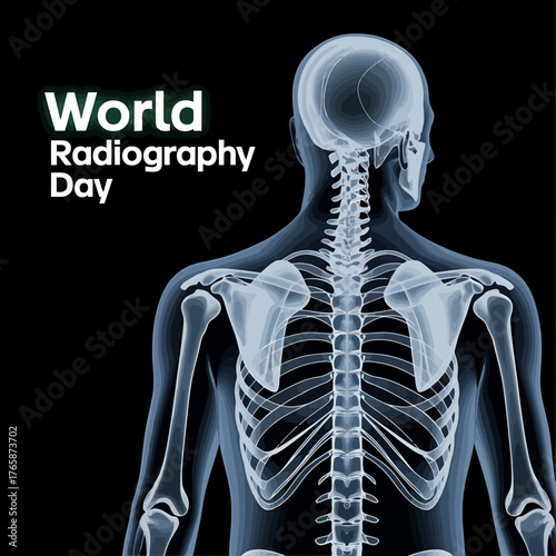 Vector art of anatomical illustration of human skeleton on world radiography day, showcasing the skeletal system and its importance in medical diagnostics