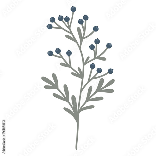 Hand drawn Berry sprig illustration, Twig with berry vector. Botanical element, twig with blue berries and leaves, sprig, plant