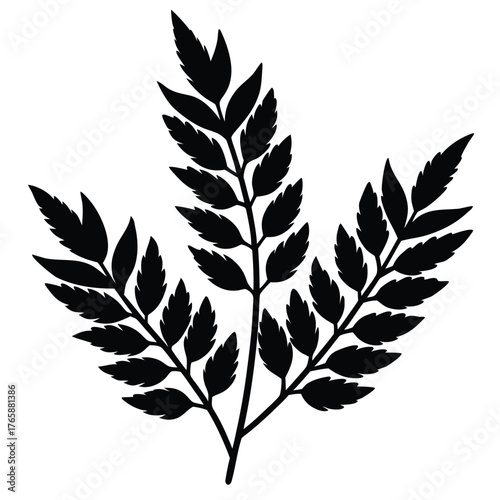 Elegant fern frond silhouette a minimalist botanical design for creative projects