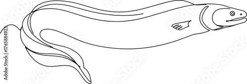Elegant line drawing of an eel, minimalist aquatic animal illust