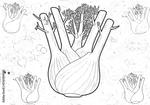 Detailed fennel illustration perfect for creative coloring book