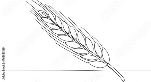 Minimalist line art illustration showcasing a single stalk of ry