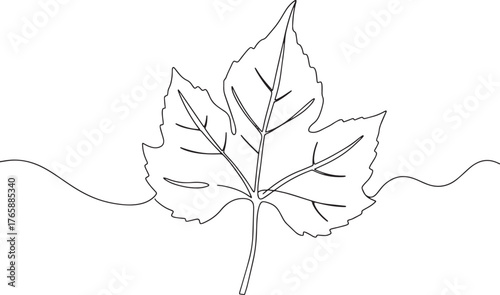 Simple Line Drawing of a Plane Tree Leaf with Veins and Wavy Lin