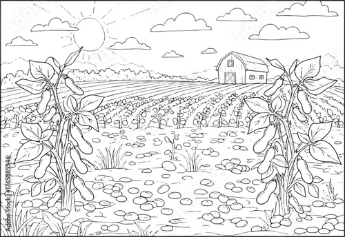 Detailed outline illustration showing a soybean field and barn l