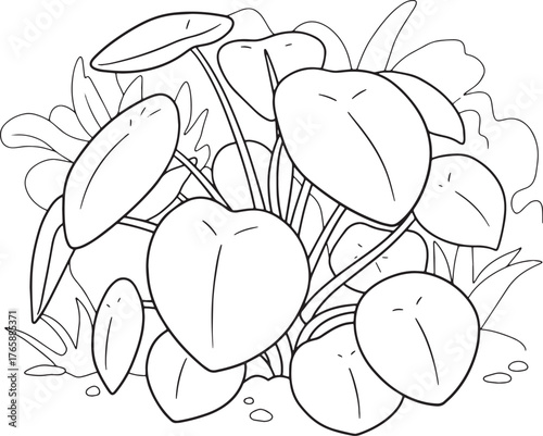 Charming outline illustration of a pilea peperomioides plant wit