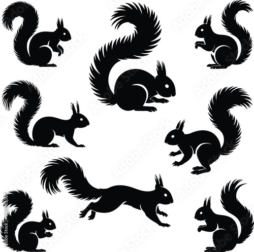 Black silhouette pattern with cute squirrel animals and fluffy tails