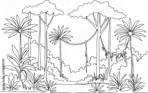 Line art illustration depicting a dense tropical rainforest ecos