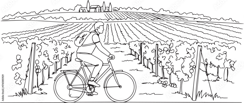 Obraz premium A man cycling through vineyard landscape illustration in minimal