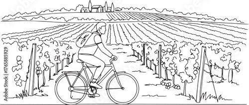 A man cycling through vineyard landscape illustration in minimal