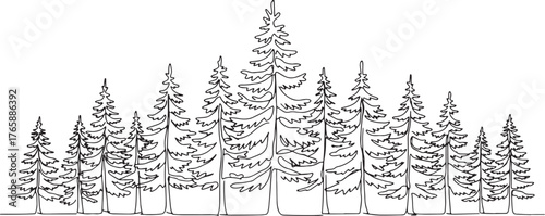 Monochrome Spruce Line Art: Continuous Design of Majestic Evergr