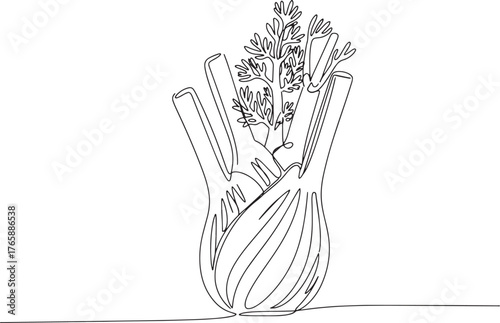 Elegant single line drawing of fresh fennel bulb conveying simpl