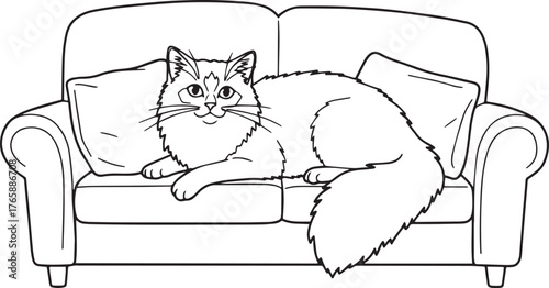 Charming Ragdoll Cat Lounging Comfortably on a Sofa, a Simple Ve