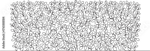 Elegant Single Line Drawing of Boxwood Hedge for Minimalist Desi