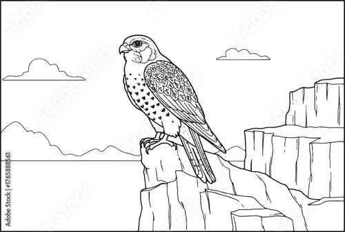 A detailed coloring page of a falcon perched on a cliffside with