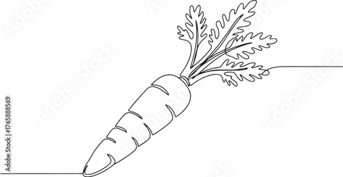 Single continuous line drawing of a fresh organic carrot vegetab