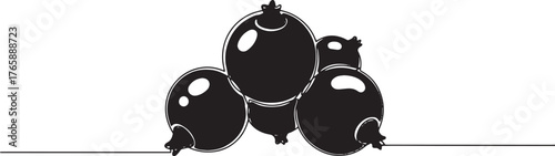 Illustration of Fresh Blackcurrants on a Single Line, Simple and