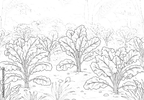 Detailed line art illustration of a thriving kale plantation in