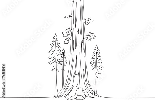 Single Line Illustration of a Majestic Giant Sequoia Surrounded